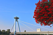 View of Bridge SNP and UFO observation deck  and beautiful red flowers. The bridge was called Most SNP (