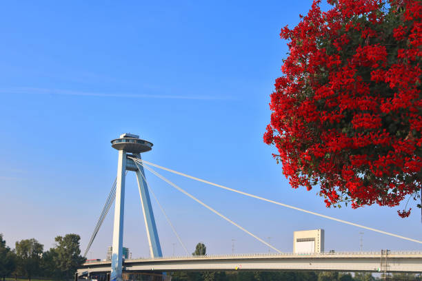 View of Bridge SNP and UFO observation deck  and beautiful red flowers. The bridge was called Most SNP ("Bridge of the Slovak National Uprising"), although locally it was called New Bridge stock photo