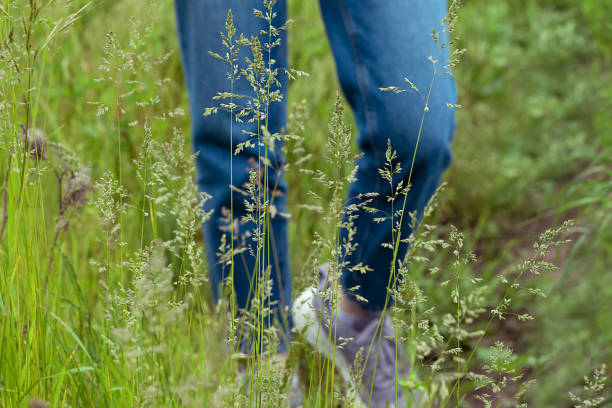 foco seletivo nas pernas de adolescente em jeans e tênis roxos no prado. сoncept of lonelyness - lonelyness - fotografias e filmes do acervo