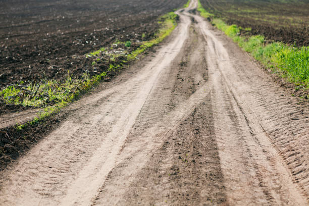 istock Country road and agricultural fields 1358564102