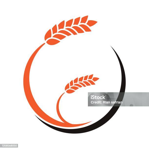 Ricefeild Template Rice Template Stock Illustration - Download Image Now - Agriculture ...