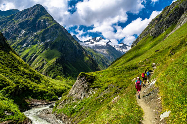 hiking group in valley of umbalfaelle on grossvenediger with view to mountain roetspitze in nationalpark hohe tauern in tirol in austria - wandelen stockfoto's en -beelden