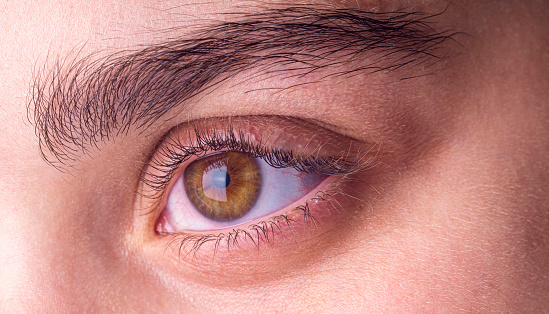 A close-up of a hazel female human eye , Close-up view of a female eye. The eye’s color is hazel. Her eyebrows are black.