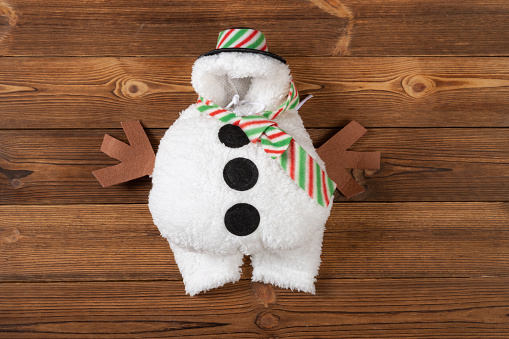 pets Christmas snowman dress on a wood background