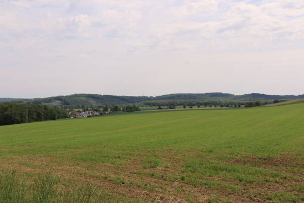 istock Sunny spring day in Menden in the Sauerland 1358581445