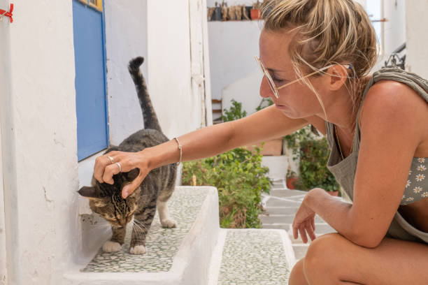 istock Young woman cuddling stray cat in Greece 1358582117