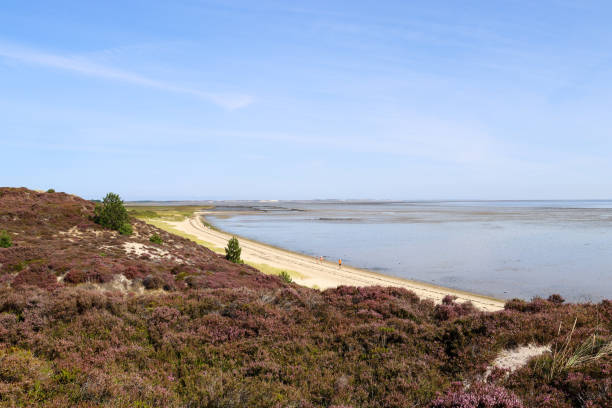 Braderuper Heide in Sylt, Germany
