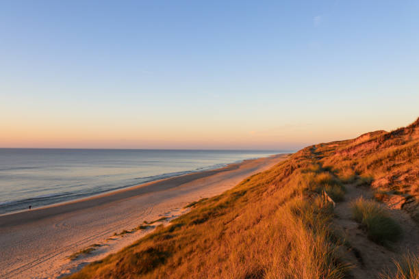 istock Beautiful dune landscape in the evening on Sylt 1358585371