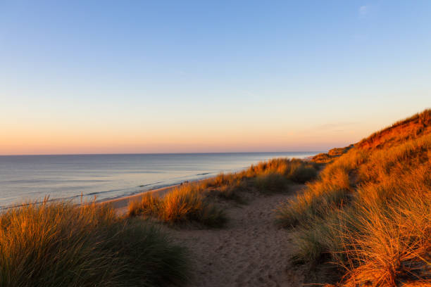 istock Beautiful dune landscape in the evening on Sylt 1358585384