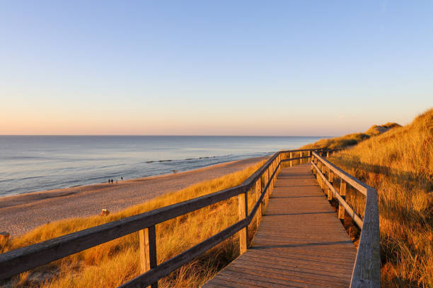 istock Wooden walkway through the dunes on Sylt 1358586621