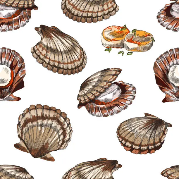 Vector illustration of Scallop or clam seamless pattern in hand drawn sketch style, vector illustration on white background.