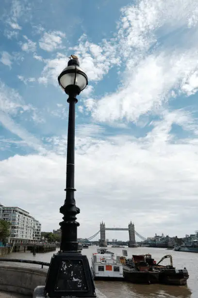 View of the River Thames and Tower Bridge seen from Grant's Quay Wharf. A traditional wought iron street lamp in the foreground and the Tower Bridge in the background.
