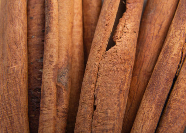 istock macro photo of cinnamon bark. Spice cinnamon 1358592398