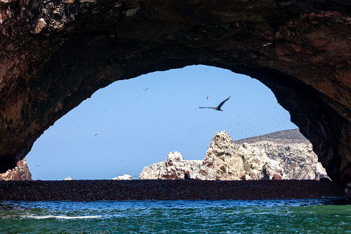 View of the arch with the beach at Paracas National Reserve, Peru, South America. High quality photo