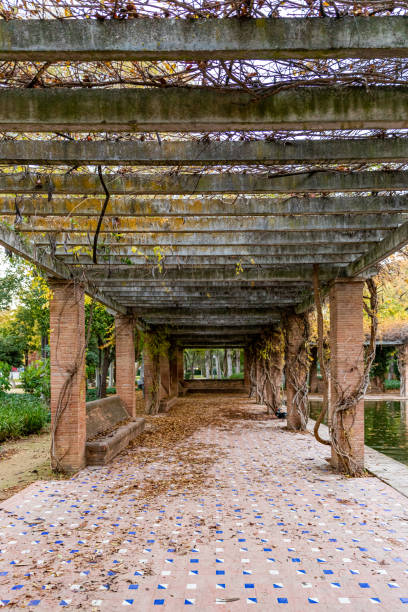 istock The fall in Maria Luisa park, Seville, Spain. 1358594454