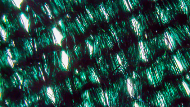 Green And Black Synthetic Fiber Abstract Background Green and black synthetic fiber abstract background. A macro pattern of a textile tissue. The clothing industry combines polyester with various natural fabrics to protect the cloth against wearing. spandex stock pictures, royalty-free photos & images