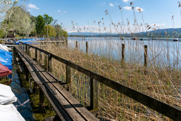 Lake Greifensee is a lake located east of the northern Lake Zurich in Switzerland. It is the second largest lake in the canton of Zurich.