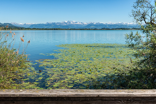 Lake Pfäffiker is a lake in the Zurich Oberland, Switzerland