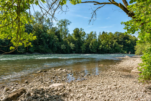 banca di reuss vicino a stetten - riverbank foto e immagini stock