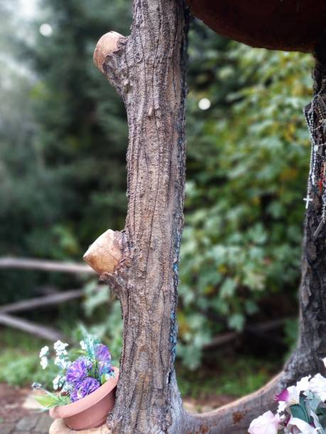 istock Trunk, flowers, flower glass, forest, park 1358595658