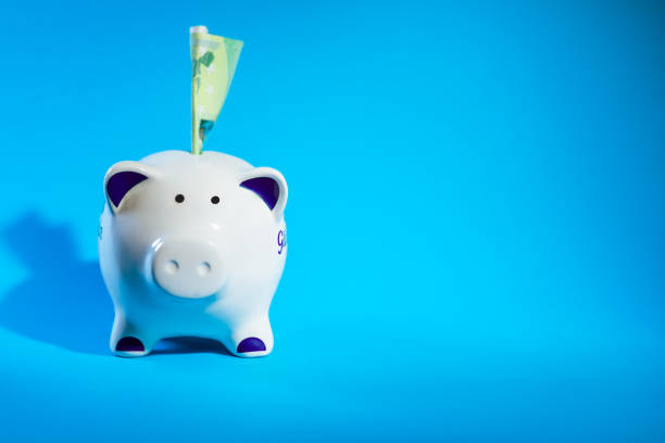 istock Piggy bank on blue background 1358595703