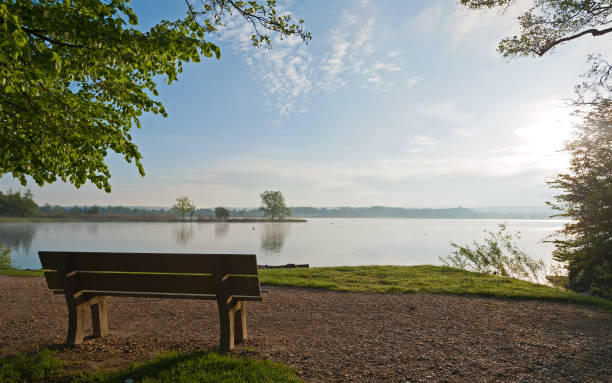 istock Bench in the sunrise at Greifensee lake 1358595716