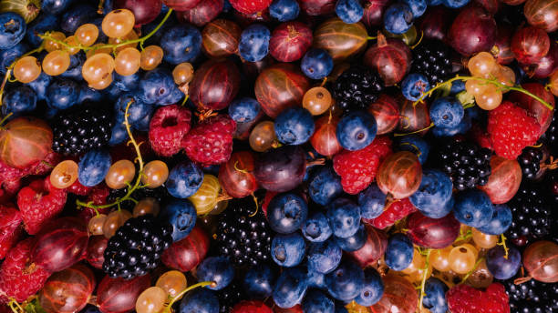 istock Gooseberries, blueberries, mulberry, raspberries, white and red currants. 1358602547