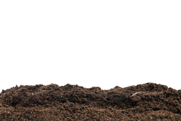 istock Soil for plant isolated on white background. 1358602583