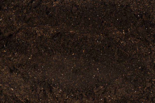 istock Soil for plant isolated on white background. 1358602593