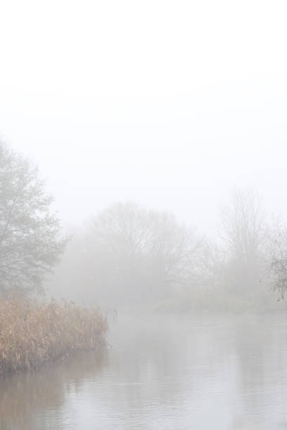 istock River in autumn fog 1358607989