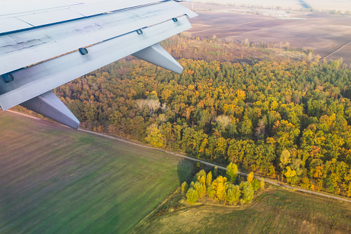View from the airplane window on the wing, field and forest. Sunny weather