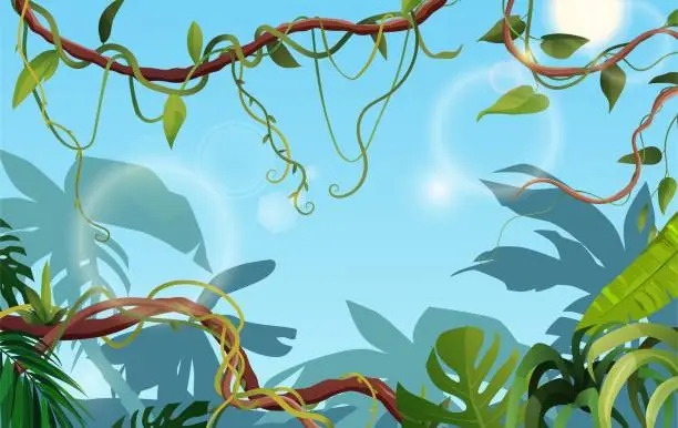Vector illustration of Liana or vine winding branches with tropic leaves background. Jungle tropical climbing plants.