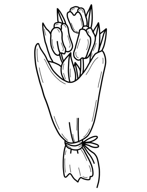 ilustrações, clipart, desenhos animados e ícones de lindo buquê de flores de tulipas. ilustração vetorial. desenho linear da mão - illustration and painting vector sketch doodle