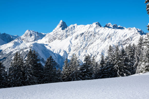 istock Perfekt Winter Day in Austria 1358618121