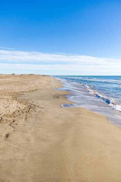istock Wave on the Mediterranean beach of Espiguette (Occitanie, France) 1358618167