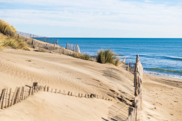 istock Stretch of sand dunes and grass at Espiguette beach (Occitanie, France) 1358618366