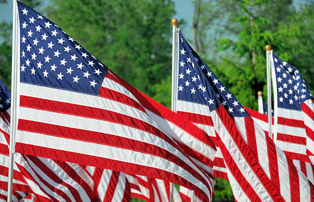 istock American Flags on Memorial Day  at a Cemetery 135862210