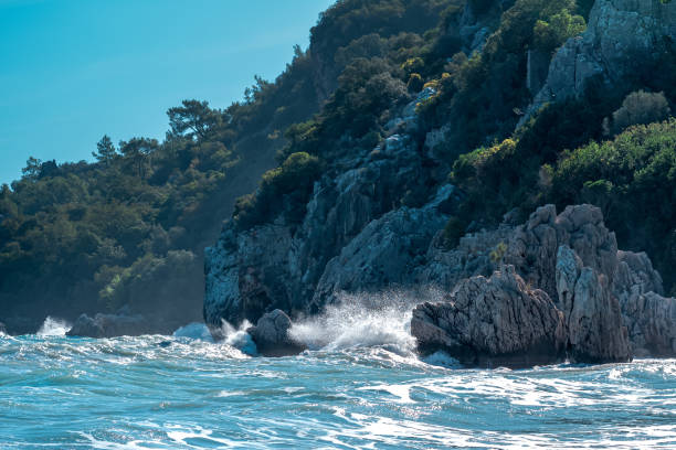 sea waves crash on a rocky seashore with tropical vegetation