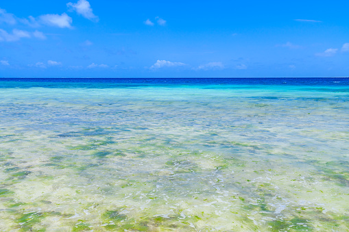 View on Indian ocean at Zanzibar island