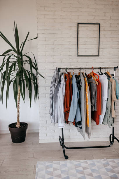 Modern bedroom with clothes rack Interior of modern bedroom in apartment with clothes rack and room plant garment store fashion rack stock pictures, royalty-free photos & images