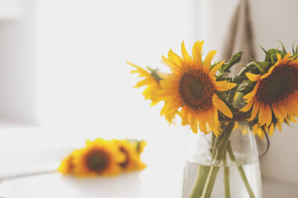 istock Vase with beautiful yellow sunflowers on table, space for text 1358630723