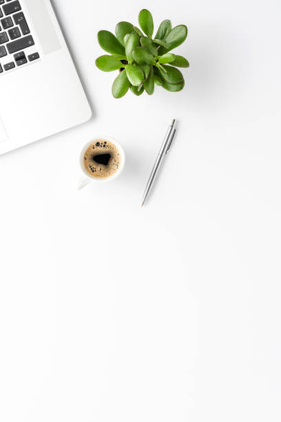 Elegant office desktop with laptop, coffee, pen and small plant. Business background stock photo