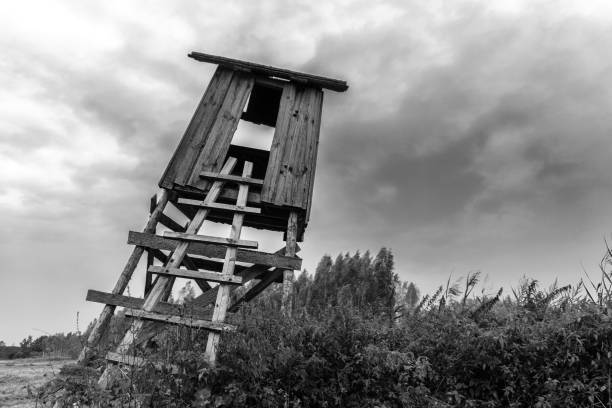 istock Old abandoned wooden Hunting tower 1358632017