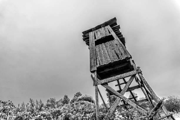 istock Old abandoned wooden Hunting tower 1358632098