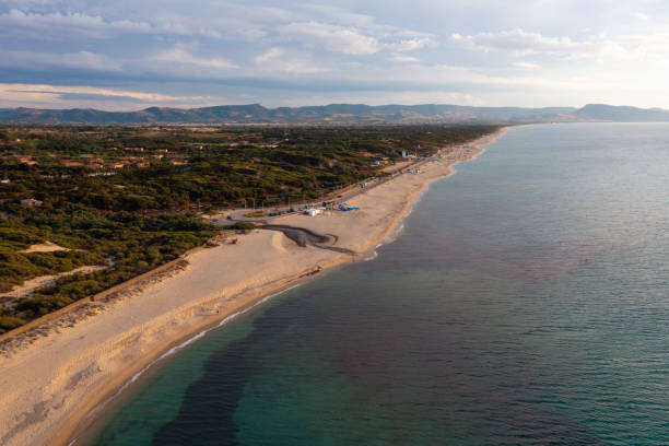 istock Sandy beach, clear seawater, and green coast 1358633530