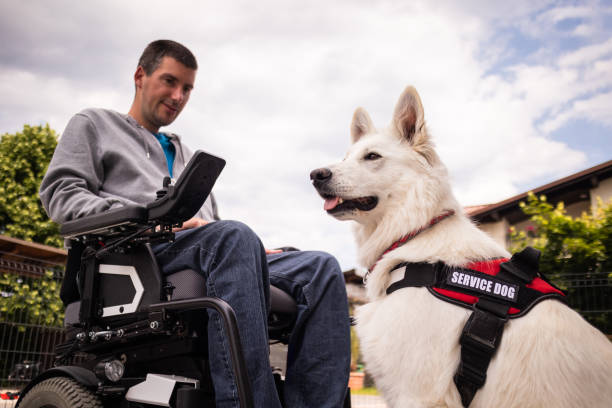 istock Man with disability and service dog 1358634945