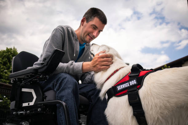 istock Man with disability and service dog 1358634946