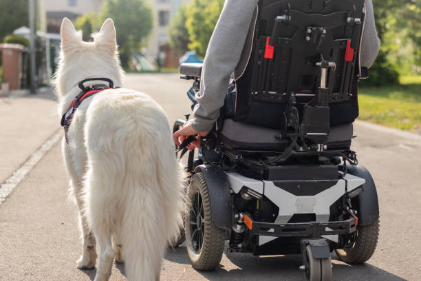 istock A disabled man leads on a leash a service dog 1358634973