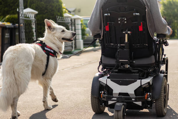 un hombre discapacitado lleva con correa a un perro de servicio - service dog fotografías e imágenes de stock