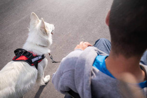 istock Man with disability and service dog 1358635000
